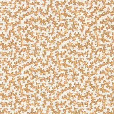 TRUFFLE DABW217242