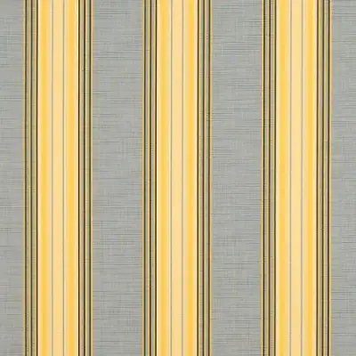 RODANTHE METALLIC