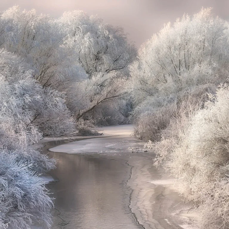 Frozen Forest - Wall Mural 5161 - 8 Panel - 384cm x 260cm — Ảnh 2