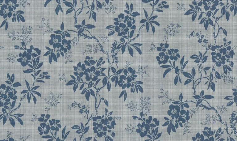 Vera, Blue