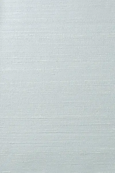 Silkx Raw