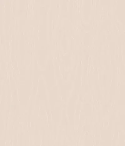 Watered Silk - S106/1007 — Image 2