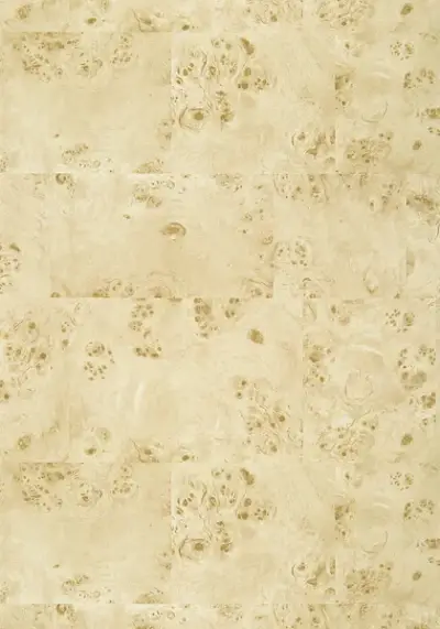 Texture Resource 6 T270