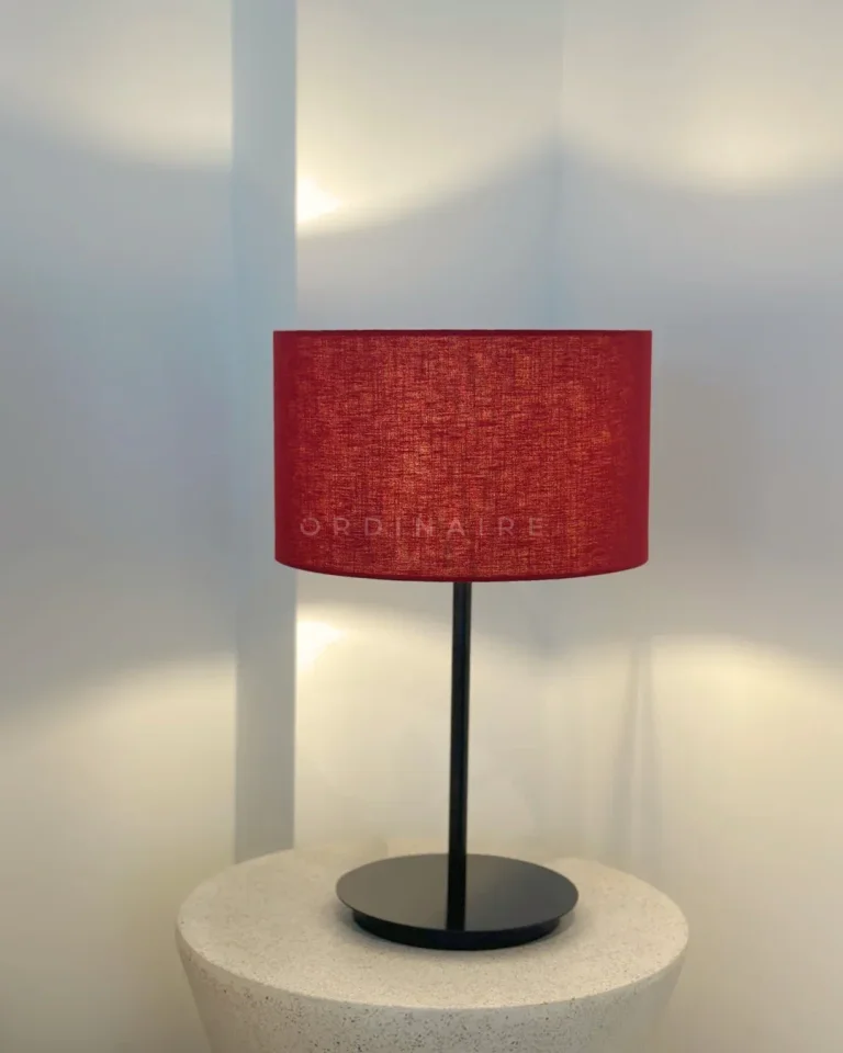 DISC TABLE LAMP — Ảnh 6