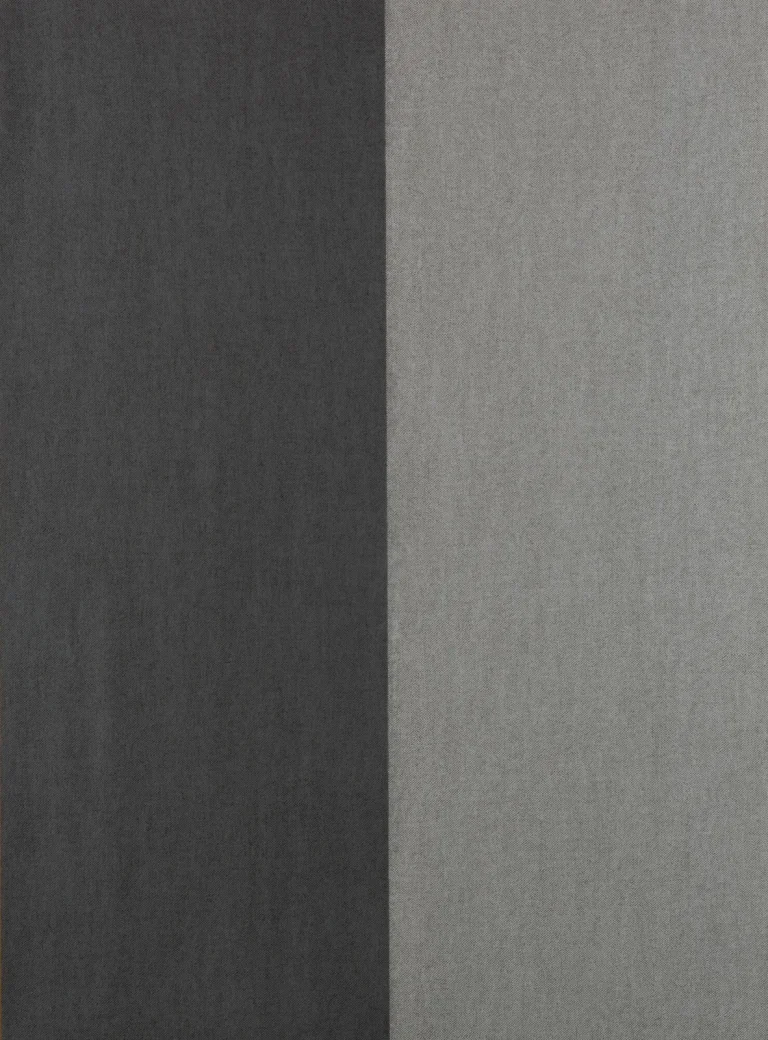 Grande Stripe Noir de Lune et Dauphin — Ảnh 4