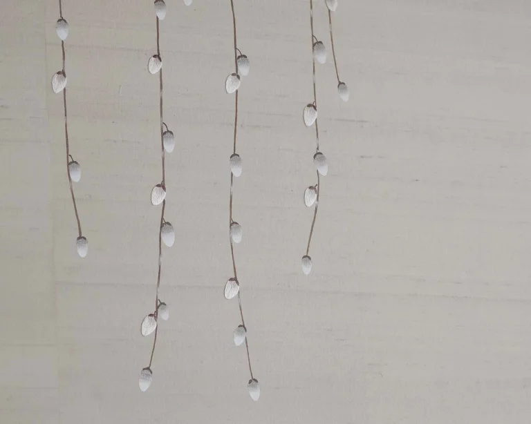 Doe - Grey Willow — Ảnh 3