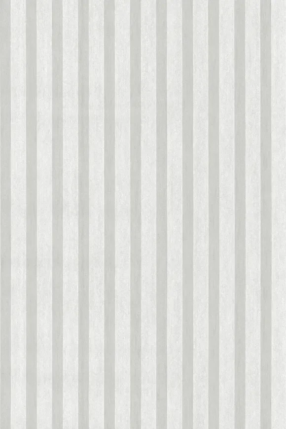Petite Stripe Fantôme — Ảnh 3