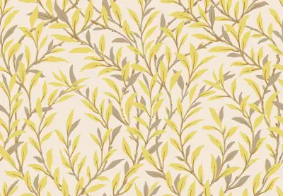 Willow Branch 127 7036