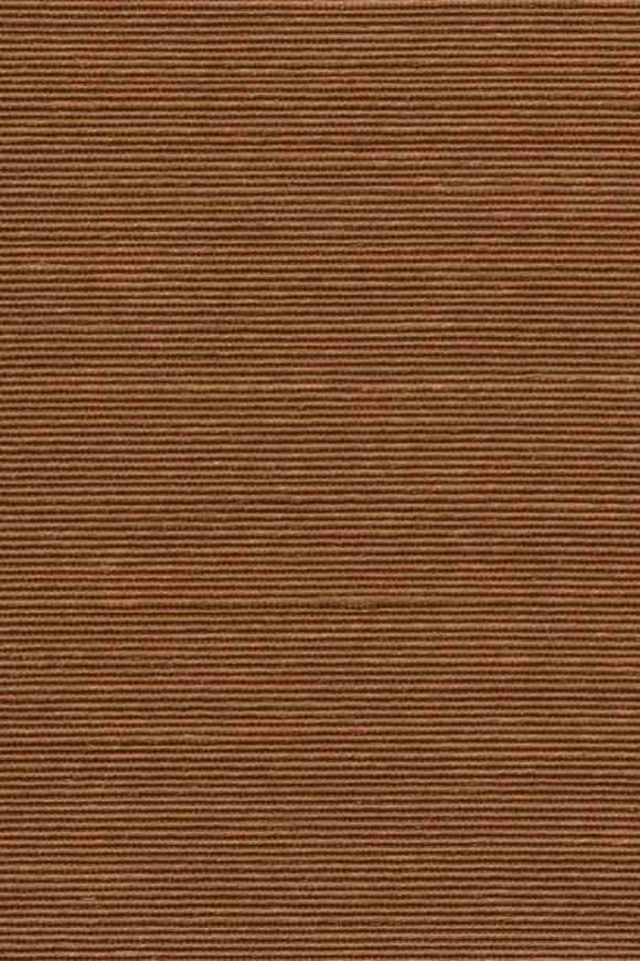 Agave Terracotta - 90532A — Ảnh 2
