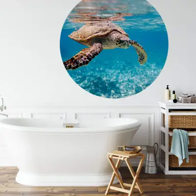 Turtle on Travel - Wall Mural 5505 - Round - 144cm diameter