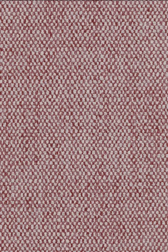 Nelson Carmin - 91556 — Ảnh 2