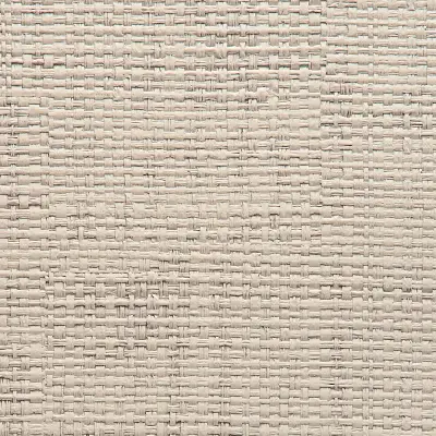 Vinyl Island Raffia