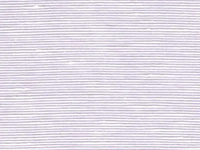 Stripe Sequin Weaving 20020724