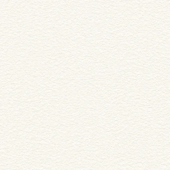 The Basic - White Beige Tone PT.01