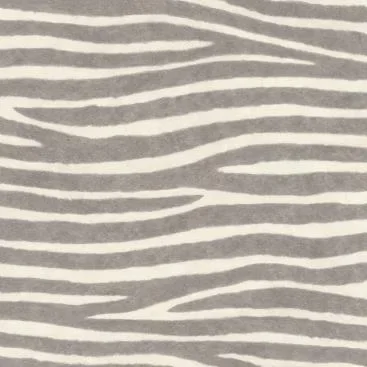 Watch Out for the Zebra Stripes! 751734 — Image 2