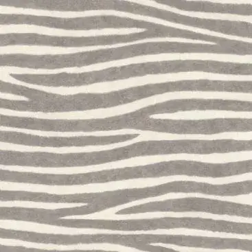 Watch Out for the Zebra Stripes! 751734