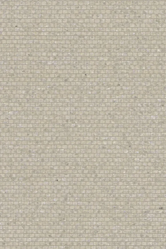 Shimmer Ash — Ảnh 2
