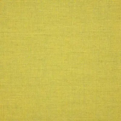 Cast Citrus