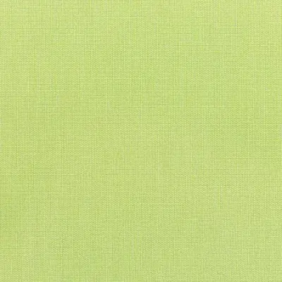 CANVASA PARROT