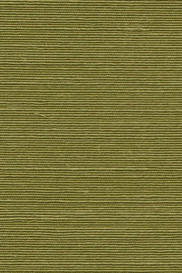 Agave Olive - 90531 — Ảnh 2