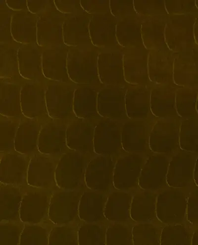 Skin 30056 — 300560