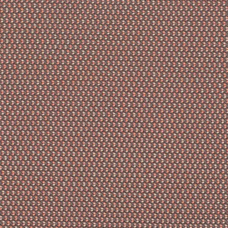 LOPI CORAL