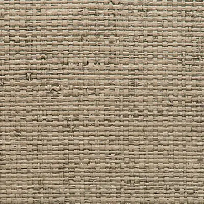 Vinyl Island Raffia