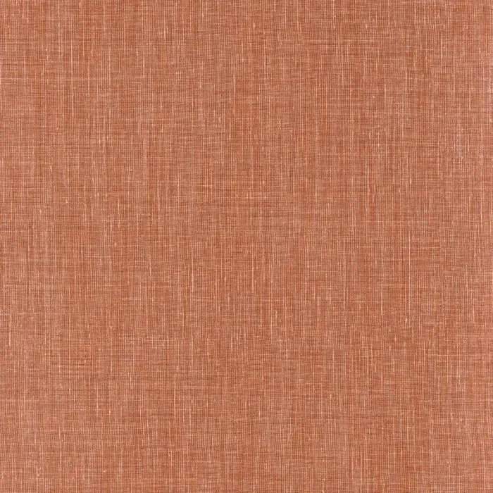 Shinok 73818650 — Ảnh 3