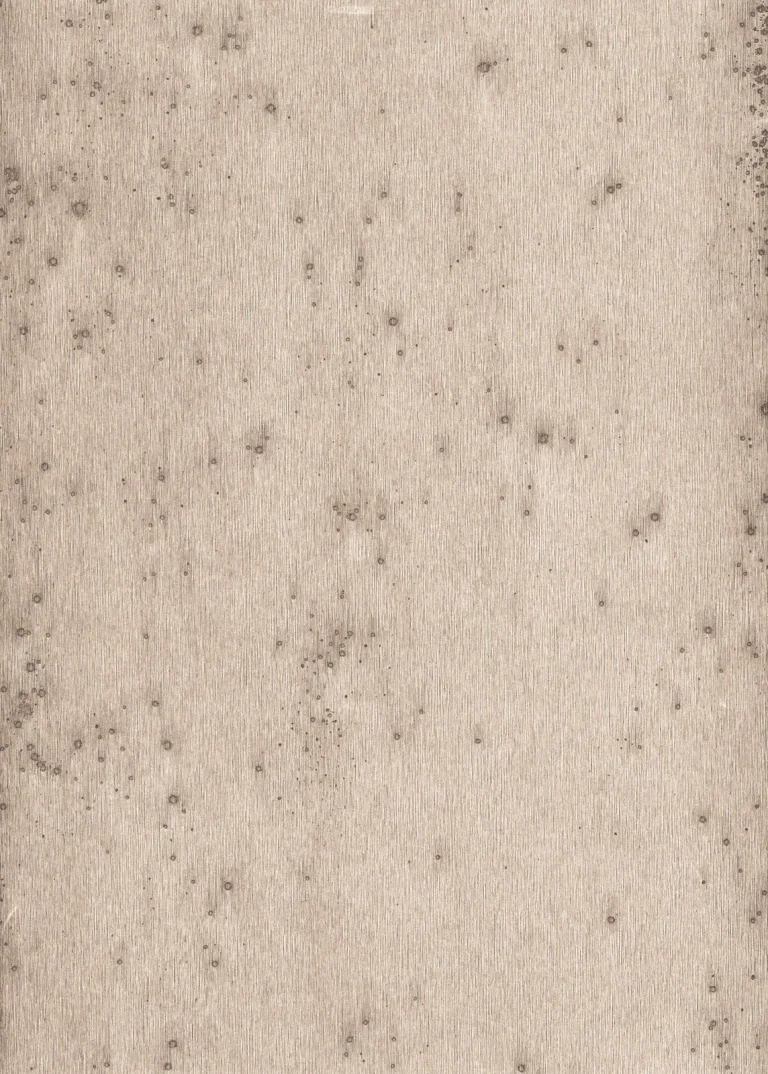 Stellar 37507 — Ảnh 4