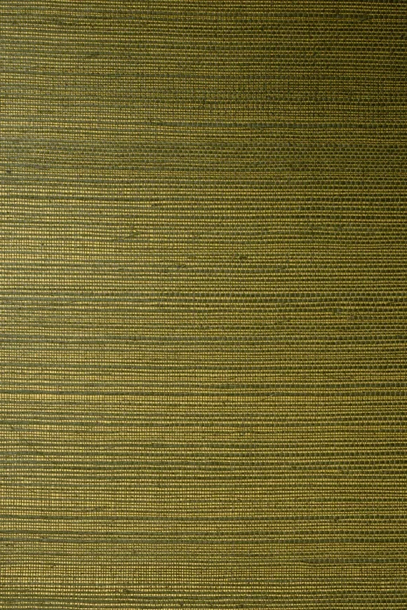 Line Fern - 72750 — Ảnh 2