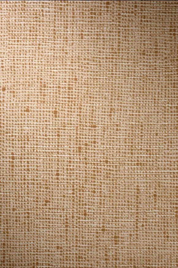 Bouclé Caramel - 73023A — Ảnh 2