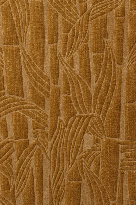 Bambusa Bronze — Ảnh 2