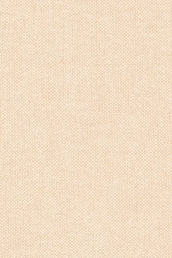 Lin Jute — Ảnh 2