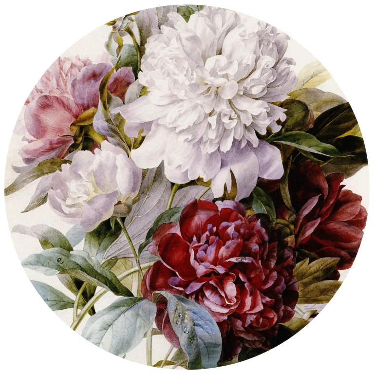 Bouquet of Peonies - Wall Mural 5558 - Round - 144cm diameter — Ảnh 2