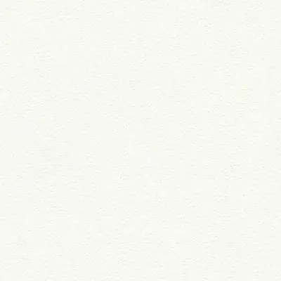 The Basic - White Beige Tone PT.01