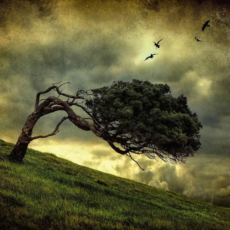 Scary Vintage Tree - Wall Mural 5158 - 8 Panel - 384cm x 260cm — Ảnh 2