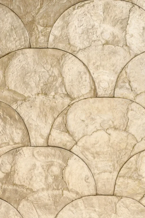 Camber Blanched Almond — Ảnh 2
