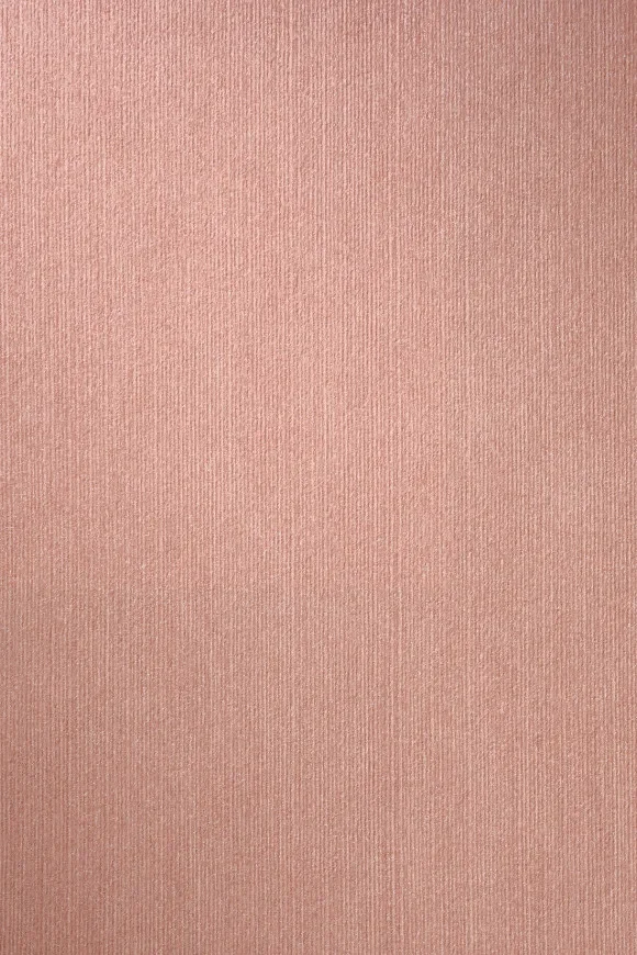 Temper Peach - 34506C — Ảnh 2