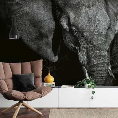 Beautiful Elephant - Wall Mural 5080 - 8 Panel - 384cm x 260cm