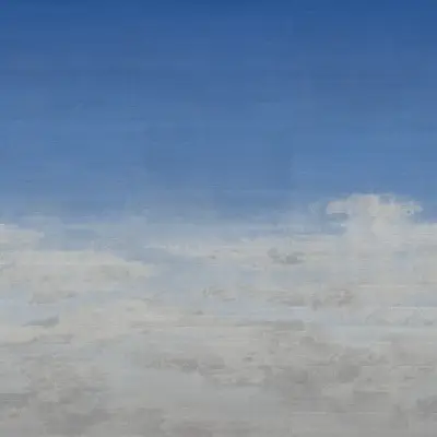 Digital Murals Butterfly Sky
