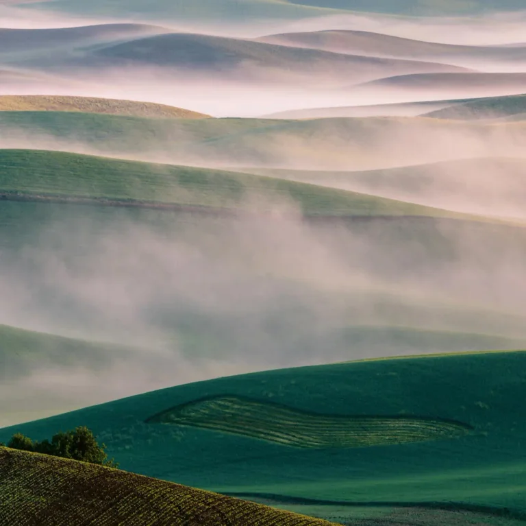 Foggy Hills - Wall Mural 5069 - 8 Panel - 384cm x 260cm — Ảnh 2