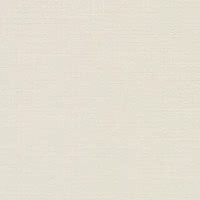 The Basic - White Beige Tone PT.02