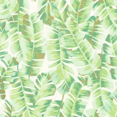 Botanica Folium