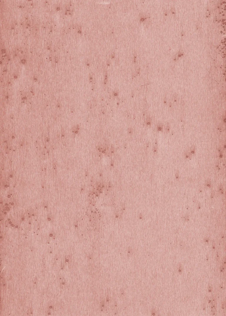 Stellar 37520 — Ảnh 2