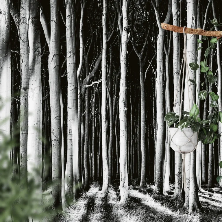 Ghost Forest - Wall Mural 5106 - 4 Panel - 192cm x 260cm — Ảnh 2