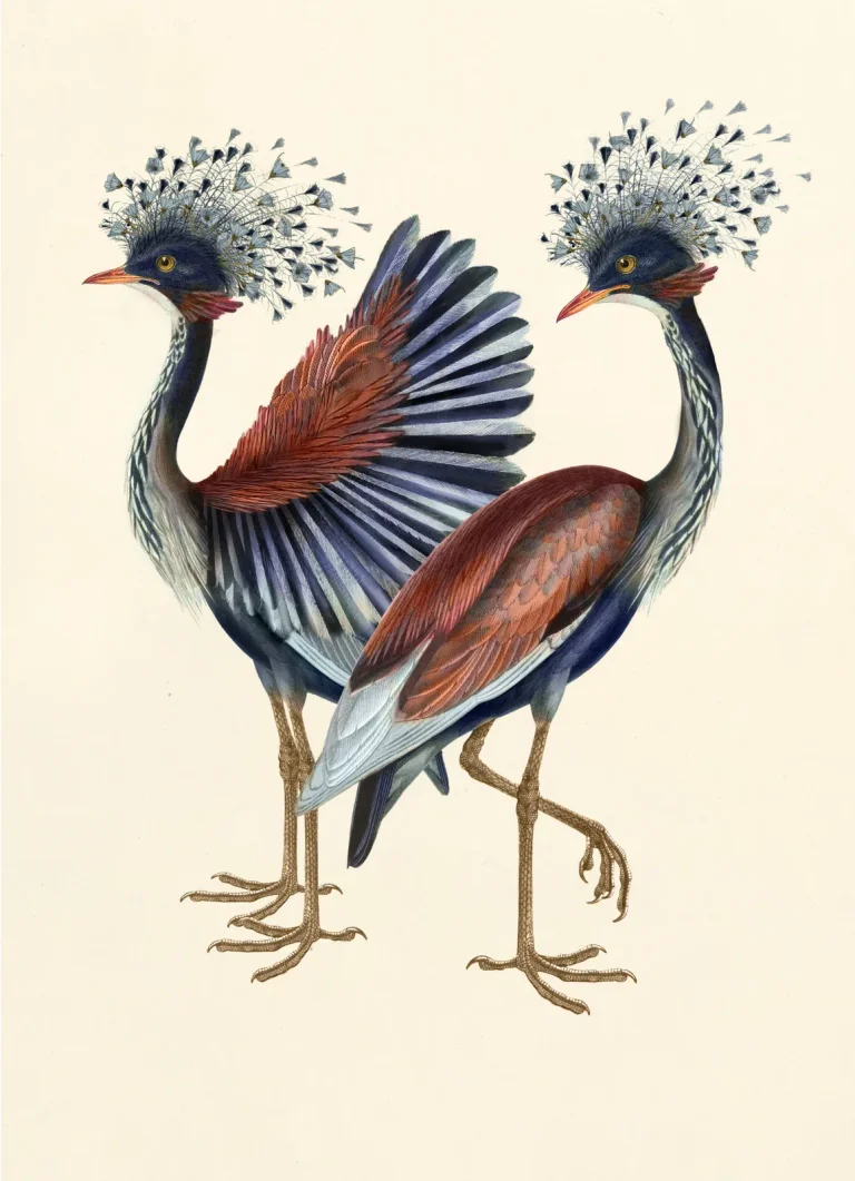 Dandelion Cranes Prisma — Ảnh 6