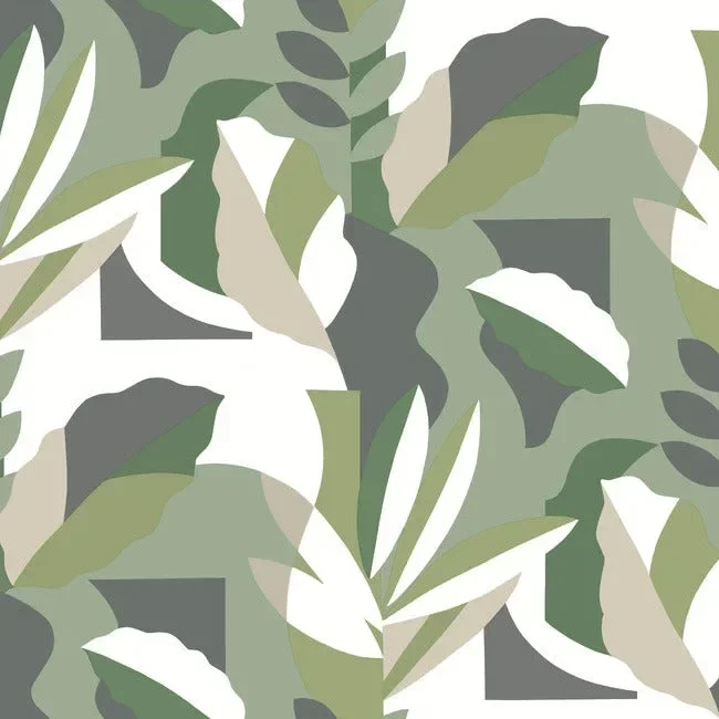 Papier Colle