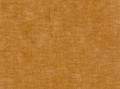 Villus 210403-3