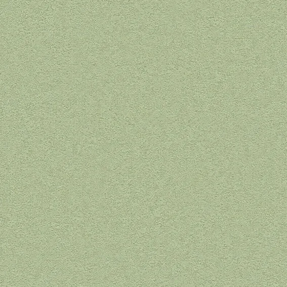 The Basic - Green Tone
