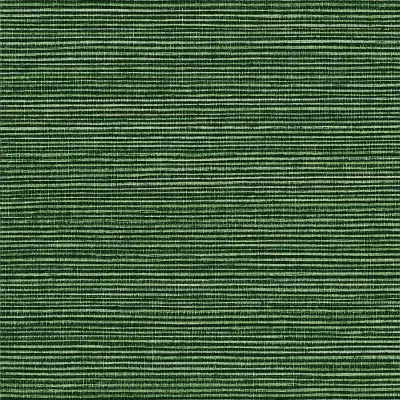 Vinyl Sisal